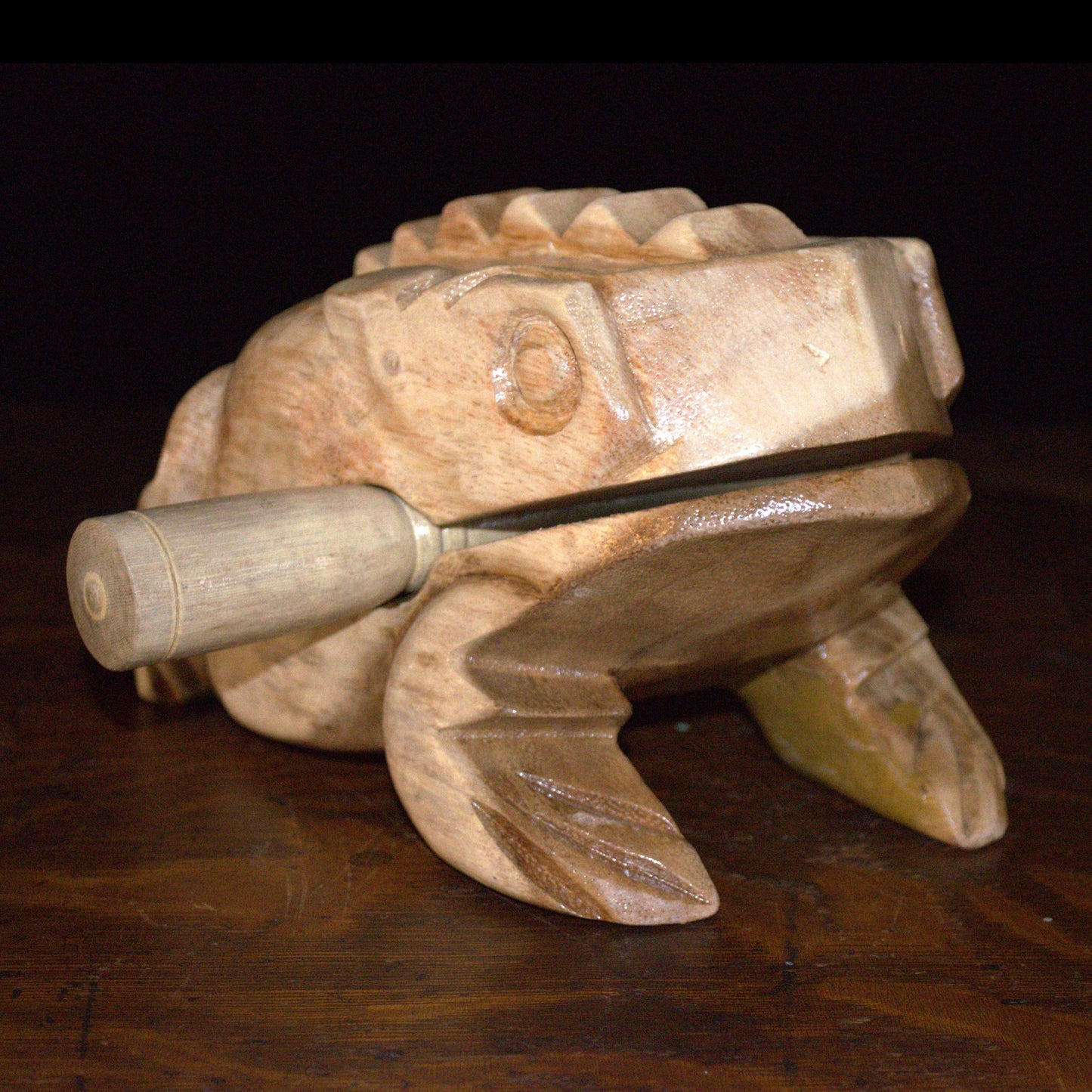 Large Croaking Frog