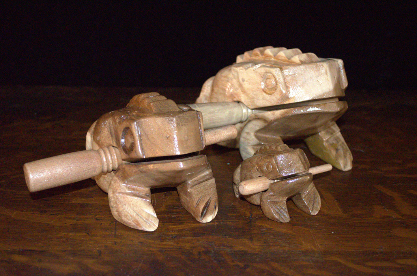 Medium Croaking Frog