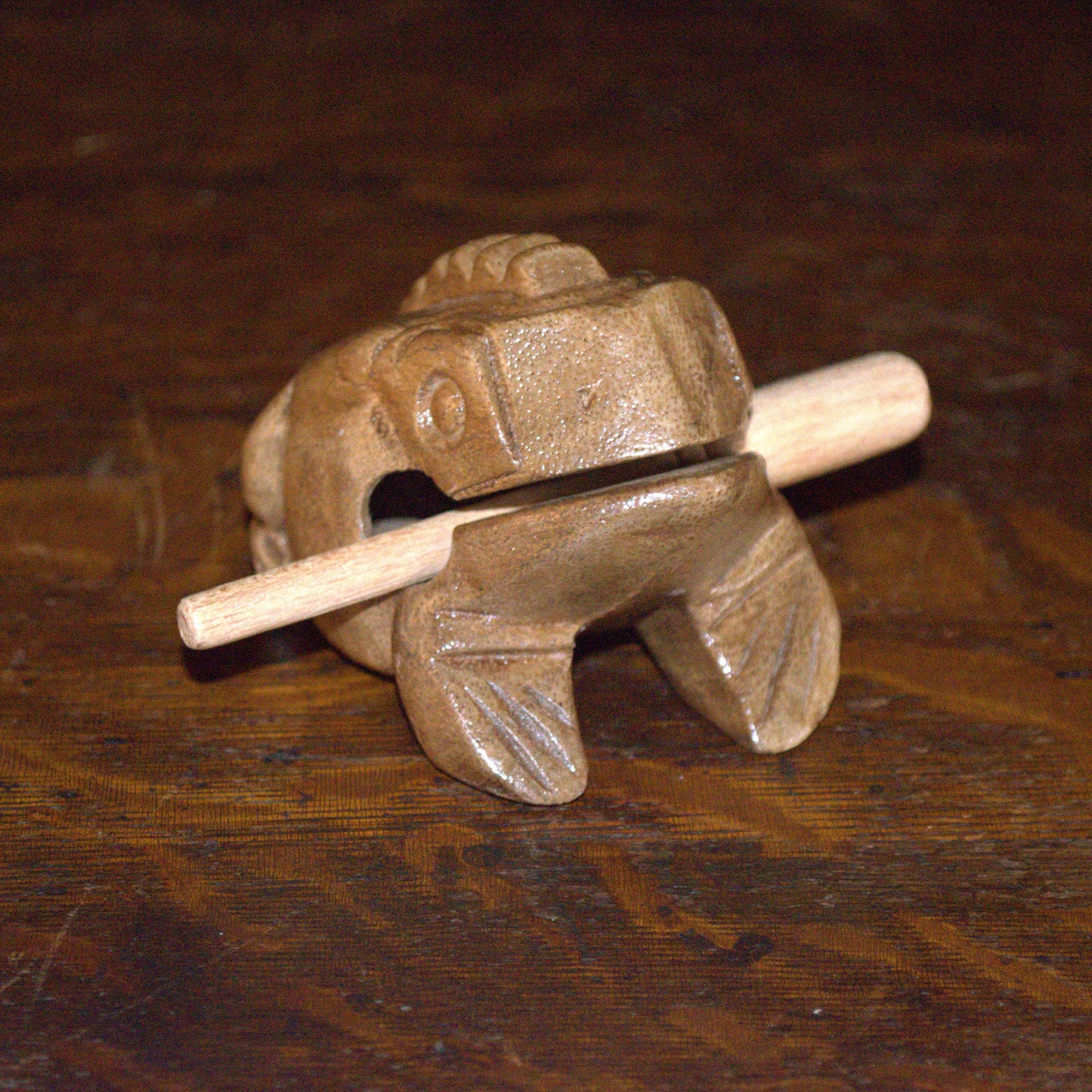 Small Croaking Frog