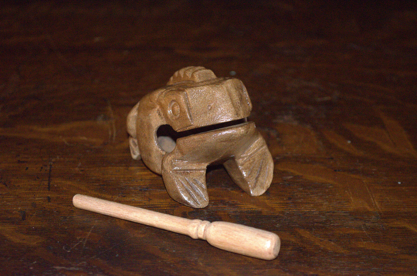 Small Croaking Frog