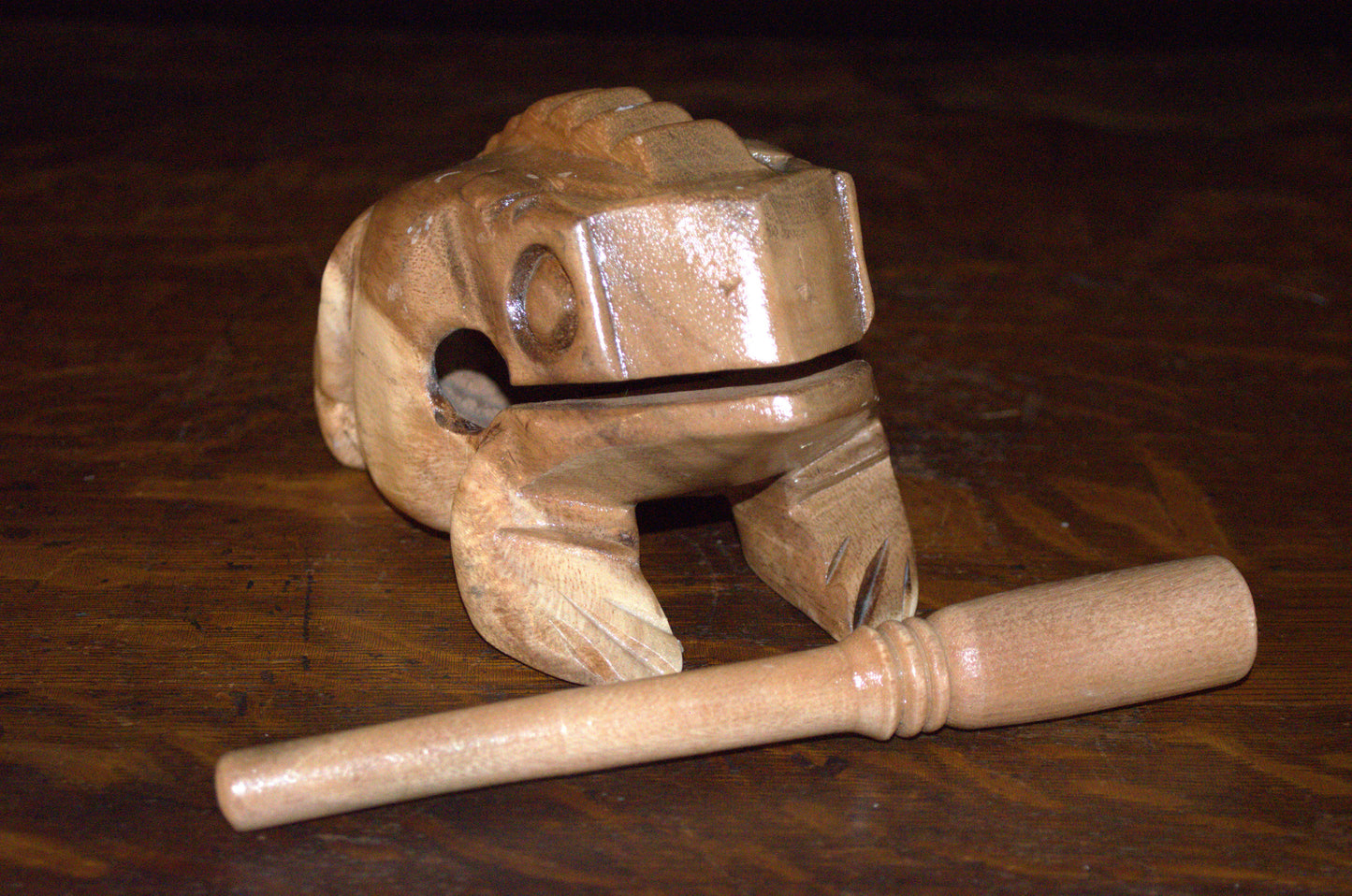 Medium Croaking Frog