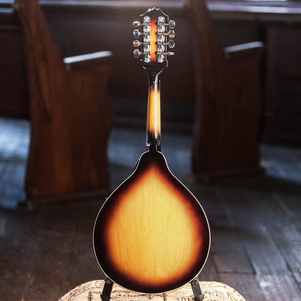 Mandolin Kit with Bag