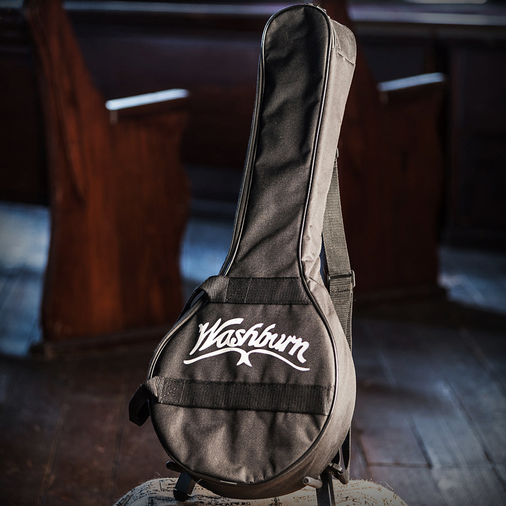 Mandolin Kit with Bag
