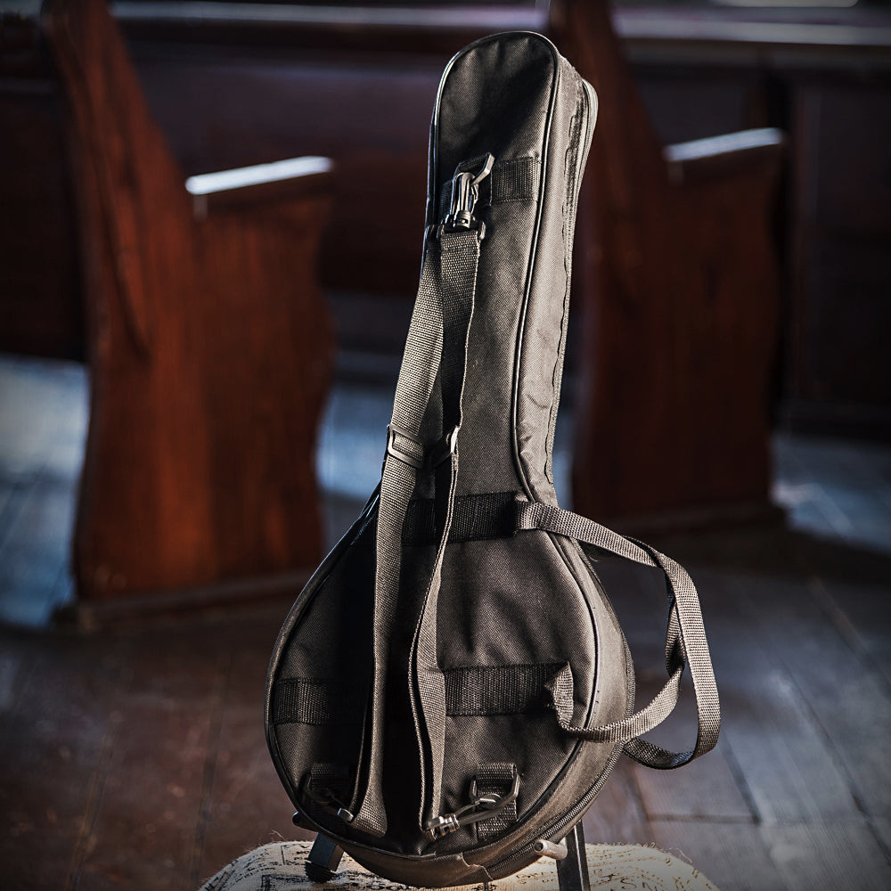 Mandolin Kit with Bag