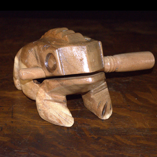 Medium Croaking Frog