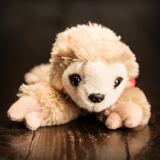Mini Flopsie -- Sloth