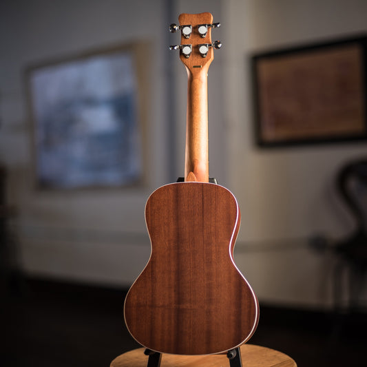 Kohala Akamai Ukulele, Concert