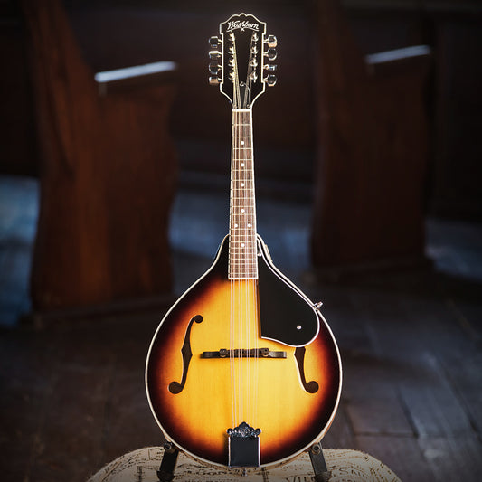 Mandolin Kit with Bag